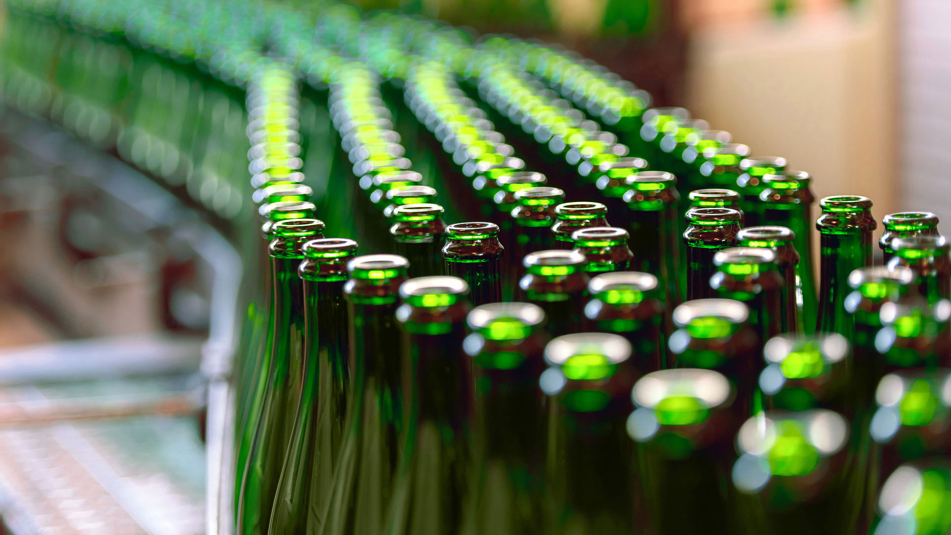 Wine bottles on filling line|Wine bottles on filling line||